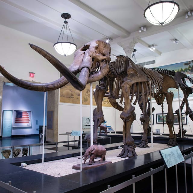 American Museum of Natural History (AMNH): All Ticketed Exhibitions - Photo 1 of 12